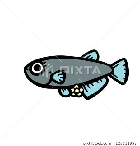 產卵鱂魚的插圖 產卵鱂魚的插圖 125511953