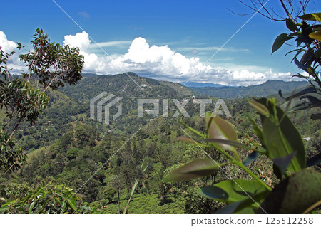 Scenic Mountain Landscape with Lush Greenery View 125512258