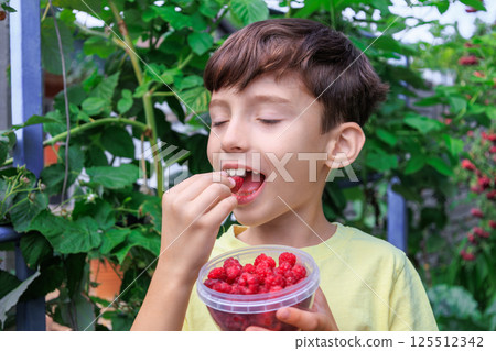Happy child eating freshly picked raspberries in garden 125512342