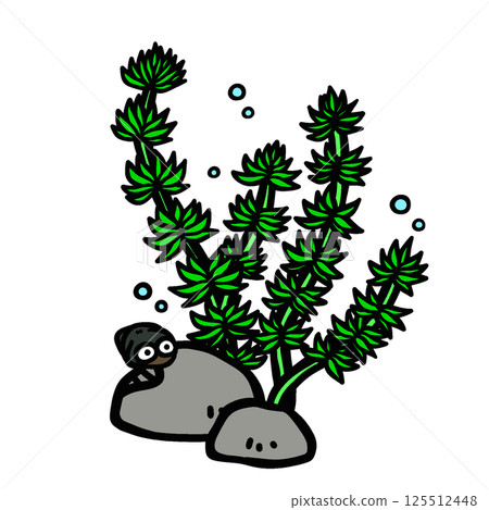 浮萍與蝸牛的插圖 浮萍與蝸牛的插圖 125512448