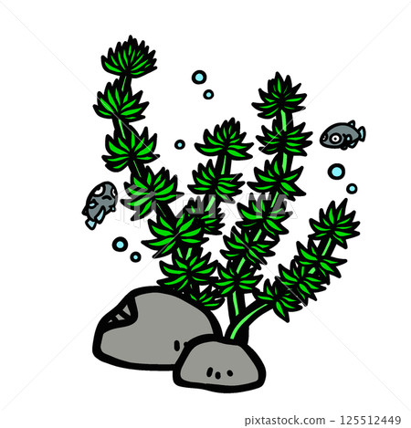 苔蘚和鱂魚的插圖 苔蘚和鱂魚的插圖 125512449