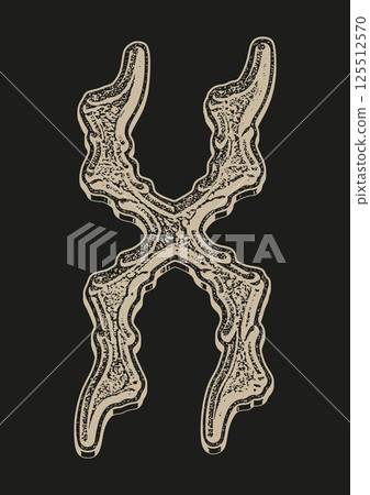Ancient font. Grunge medieval letter. Ancient font. Grunge medieval letter. 125512570