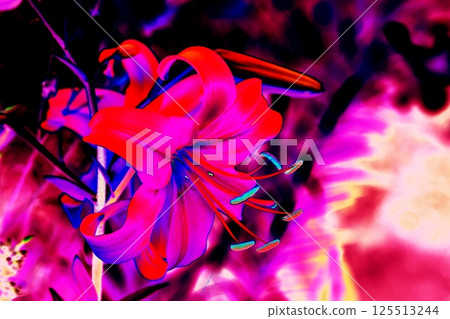 yellow lily flower, beautiful flower for designers. Changed color scheme. Colorful background. 125513244