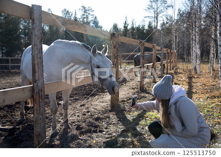 Woman Taking Photo of Horse in Wintery Forest Setting 125513750
