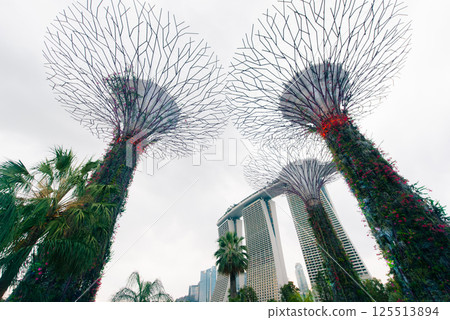 Garden by the bay in Singapore this is the most popular destination in Singapore 125513894
