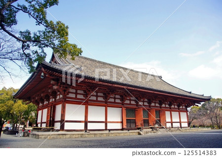 京都府,東寺講堂(重要文化財產),京都市南區九條町,2022 年 2 月 京都府,東寺講堂(重要文化財產),京都市南區九條町,2022 年 2 月 125514383