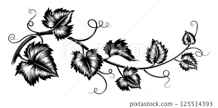 Grapes leaves branch engraving 125514393