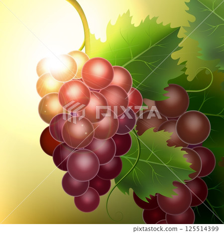 Bunch of red grapes Bunch of red grapes 125514399
