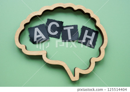 Brain and adrenocorticotropic hormone ACTH. Stress response. 125514404