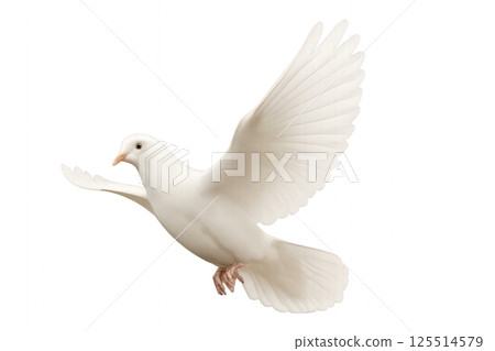 White Dove Flying Gracefully in a Bright Open Sky Above Lush Green Trees 125514579