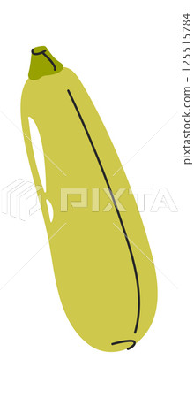 Zucchini hand drawn agricultural vegetable 125515784