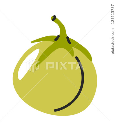 Green tomato hand drawn element 125515787