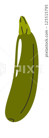 Green zucchini squash hand drawn 125515795