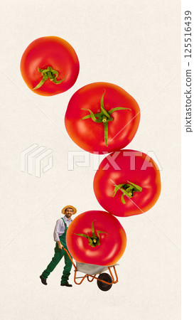 Smiling farmer man pushing wheelbarrow full of giant tomatoes against light background. Eco-friendly food market. Conceptual design. 125516439