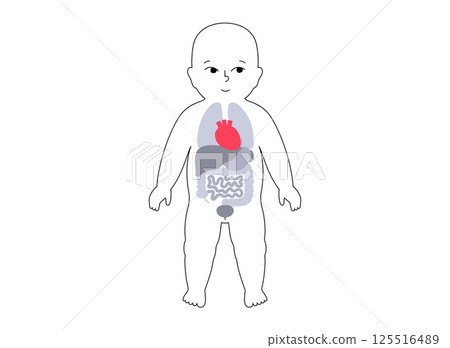 Internal organs of the child 125516489