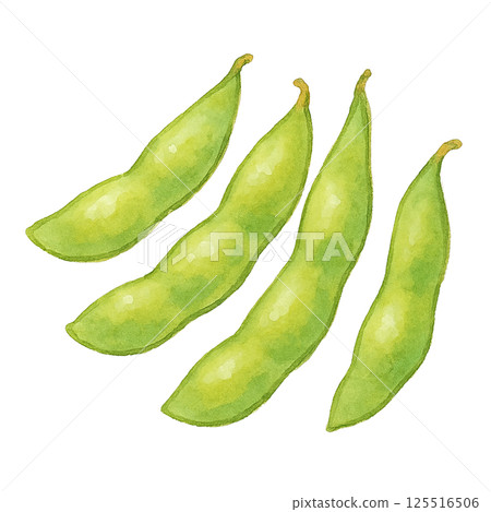 毛豆的簡單水彩插圖 毛豆的簡單水彩插圖 125516506