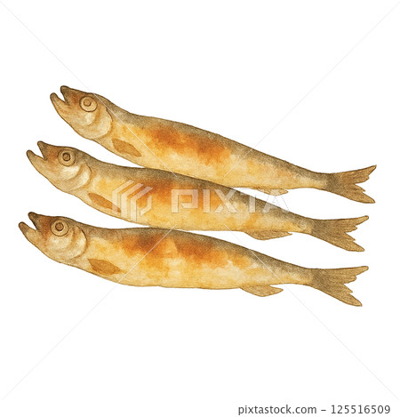 Grilled Shishamo Shishamo illustration 125516509