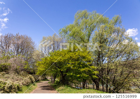 Tsukiyonoyase Waterside Park Roadside Station, Gunma Prefecture 125516999