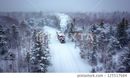 Amidst a tranquil winter setting a vintage steam train with a black and red engine chugs along a snow-covered track surrounded by tall pine trees blanketed in white snow. 125517084
