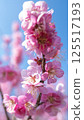 梅花（紅梅） 125517193