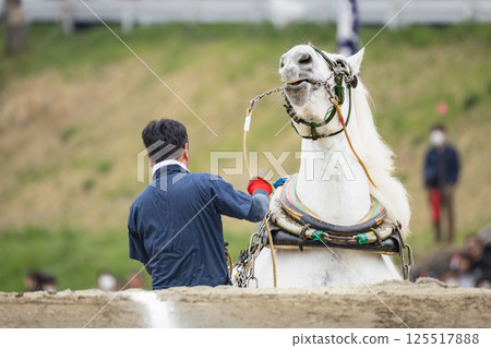 Tohoku Draft Horse Competition: Draft horses and assistance tackling obstacles 125517888