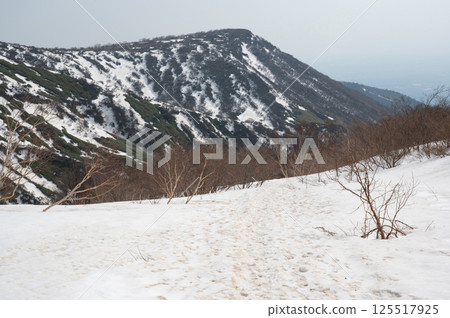 栃木縣那須山：四月白雪皚皚的健行小徑 125517925