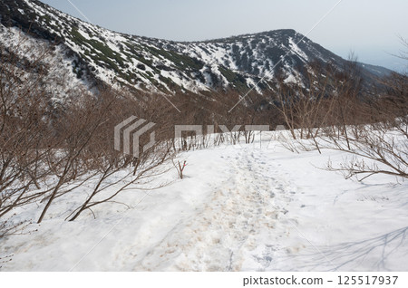 栃木縣那須山：四月白雪皚皚的健行小徑 125517937