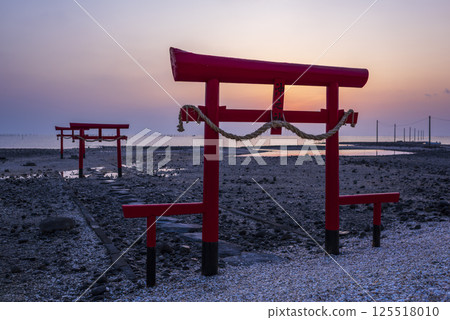 日出時分的奧古斯神社水下鳥居 125518010