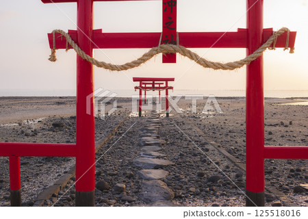 朝陽照耀下的大國神社水下鳥居 125518016