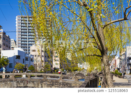 Spectacles Bridge seen through the willows 125518063