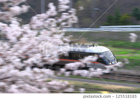 383係中央特急信濃號穿梭於盛開的櫻花林間_照片拍攝於2025年4月19日 125518183