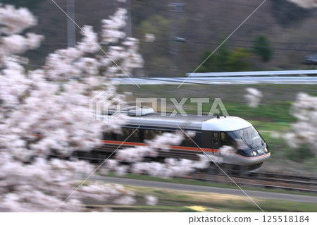 383 Series Chuo Express Shinano running through cherry blossoms in full bloom_Photo taken on 4/19/2025 125518184