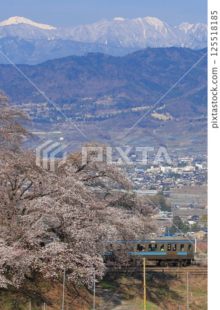 211 series train running through the Kofu Basin in spring_Photo taken on 4/5/2025 125518185