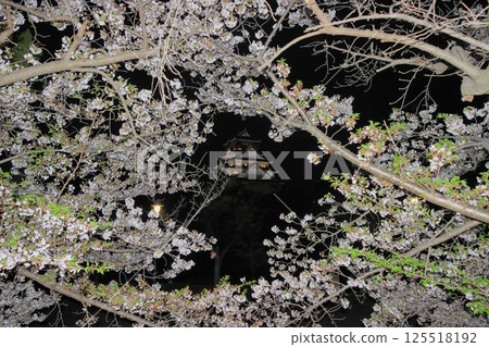 Osaka Castle surrounded by cherry blossoms Osaka Castle and cherry blossoms 125518192