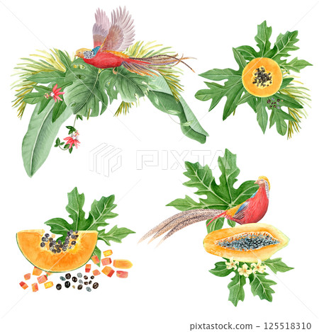 Golden pheasant papaya leafs and flowers watercolor composition set isolated on white. High quality hand drawn clip art sketch style ideal for cards, poster, book design and decor. Vibrant China bird 125518310