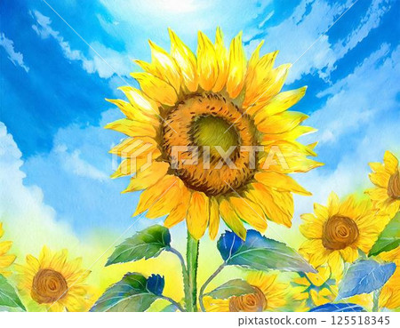 Blue sky and sunflower 125518345