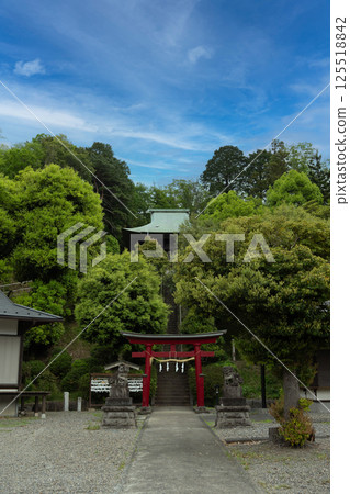 Hakusan Shrine surrounded by fresh greenery 125518842