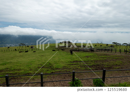 Very beautiful scenery of Hachijojima, Tokyo, Japan 125519680