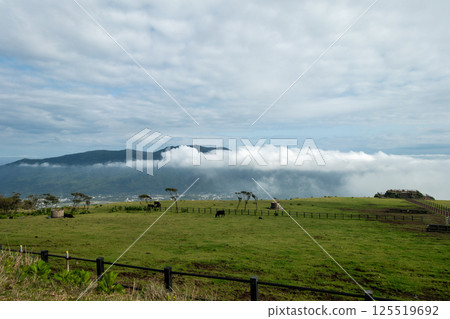 Very beautiful scenery of Hachijojima, Tokyo, Japan 125519692