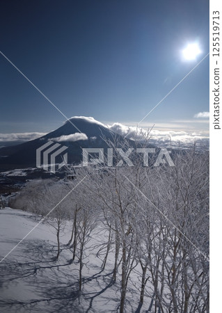 View of Mt. Yotei from the forest course of Niseko Tokyu Grand Hirafu slope 125519713