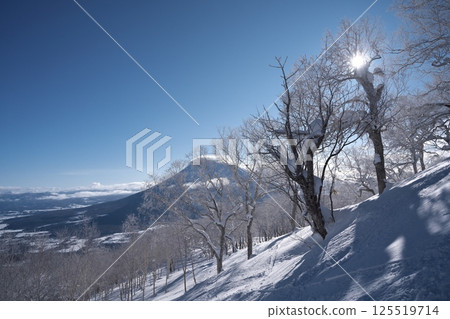 View of Mt. Yotei from the forest course of Niseko Tokyu Grand Hirafu slope 125519714
