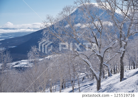 View of Mt. Yotei from the forest course of Niseko Tokyu Grand Hirafu slope View of Mt. Yotei from the forest course of Niseko Tokyu Grand Hirafu slope 125519716