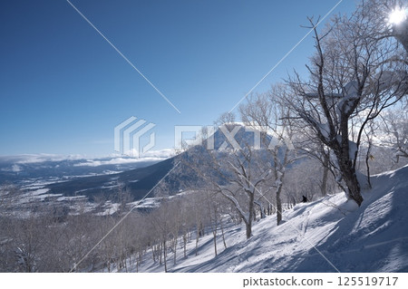 從新雪谷東急格蘭比羅夫滑雪場的森林路線眺望羊蹄山 125519717