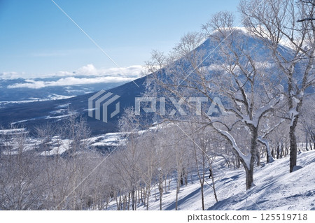 從新雪谷東急格蘭比羅夫滑雪場的森林路線眺望羊蹄山 從新雪谷東急格蘭比羅夫滑雪場的森林路線眺望羊蹄山 125519718