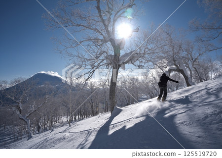從新雪谷東急格蘭比羅夫滑雪場的森林路線眺望羊蹄山 從新雪谷東急格蘭比羅夫滑雪場的森林路線眺望羊蹄山 125519720
