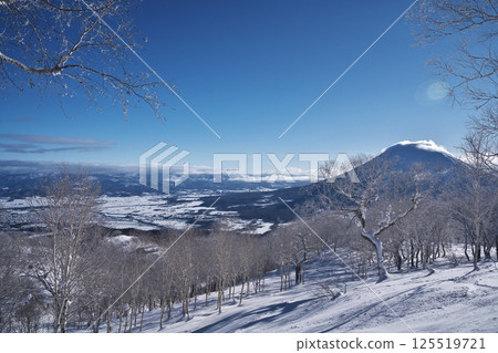 從新雪谷東急格蘭比羅夫滑雪場的森林路線眺望羊蹄山 從新雪谷東急格蘭比羅夫滑雪場的森林路線眺望羊蹄山 125519721