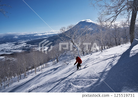 從新雪谷東急格蘭比羅夫滑雪場的森林路線眺望羊蹄山 125519731