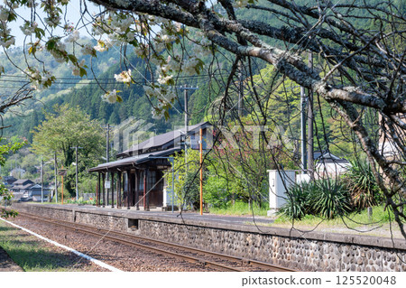 Beautiful scenery in spring at Iwayama Station in Niimi city, Okayama prefecture, Japan 125520048