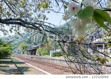 Beautiful scenery in spring at Iwayama Station in Niimi city, Okayama prefecture, Japan 125520049