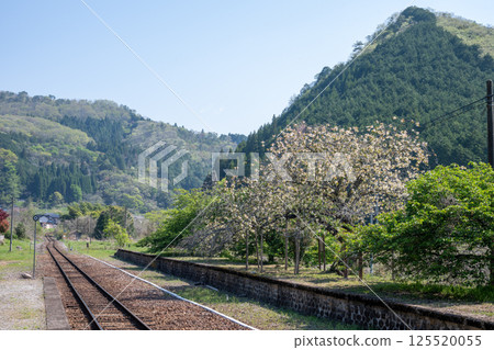 日本岡山縣新見市岩山站春天的美麗風景 日本岡山縣新見市岩山站春天的美麗風景 125520055